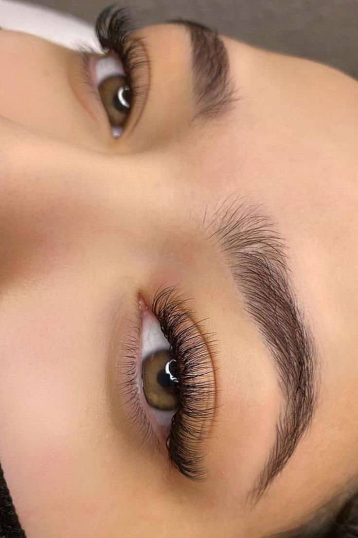 Eyelash Volume Lash